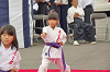 seki24 (135)_thumb.png